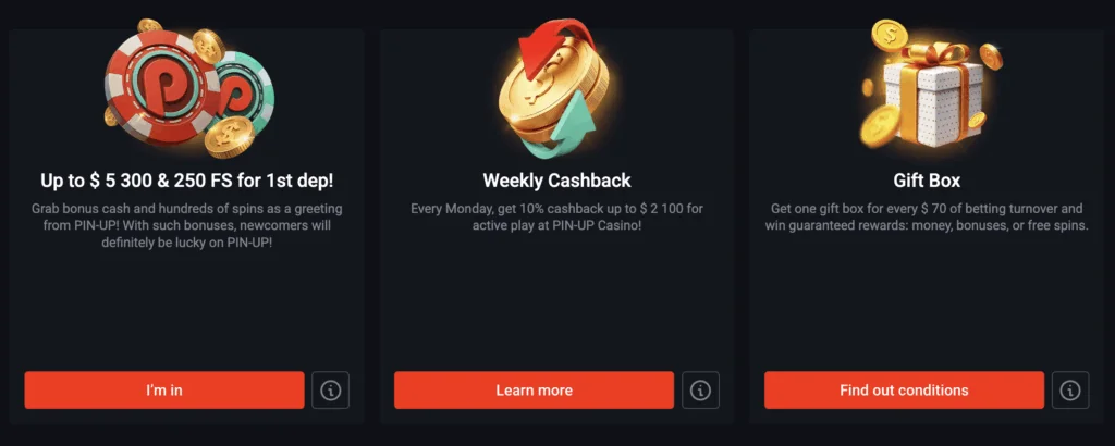 Bonuses at Pin Up Casino